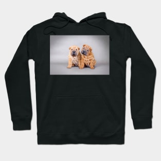 Chinese Shar Pei Puppies Hoodie